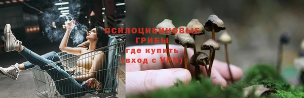 бутират Карпинск