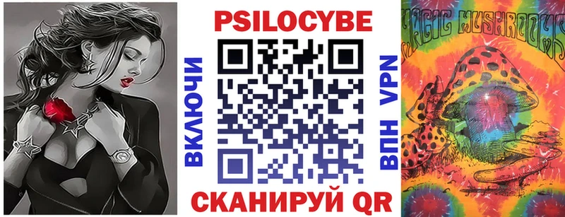 Купить где  Черняховск  Псилоцибиновые грибы Psilocybe 